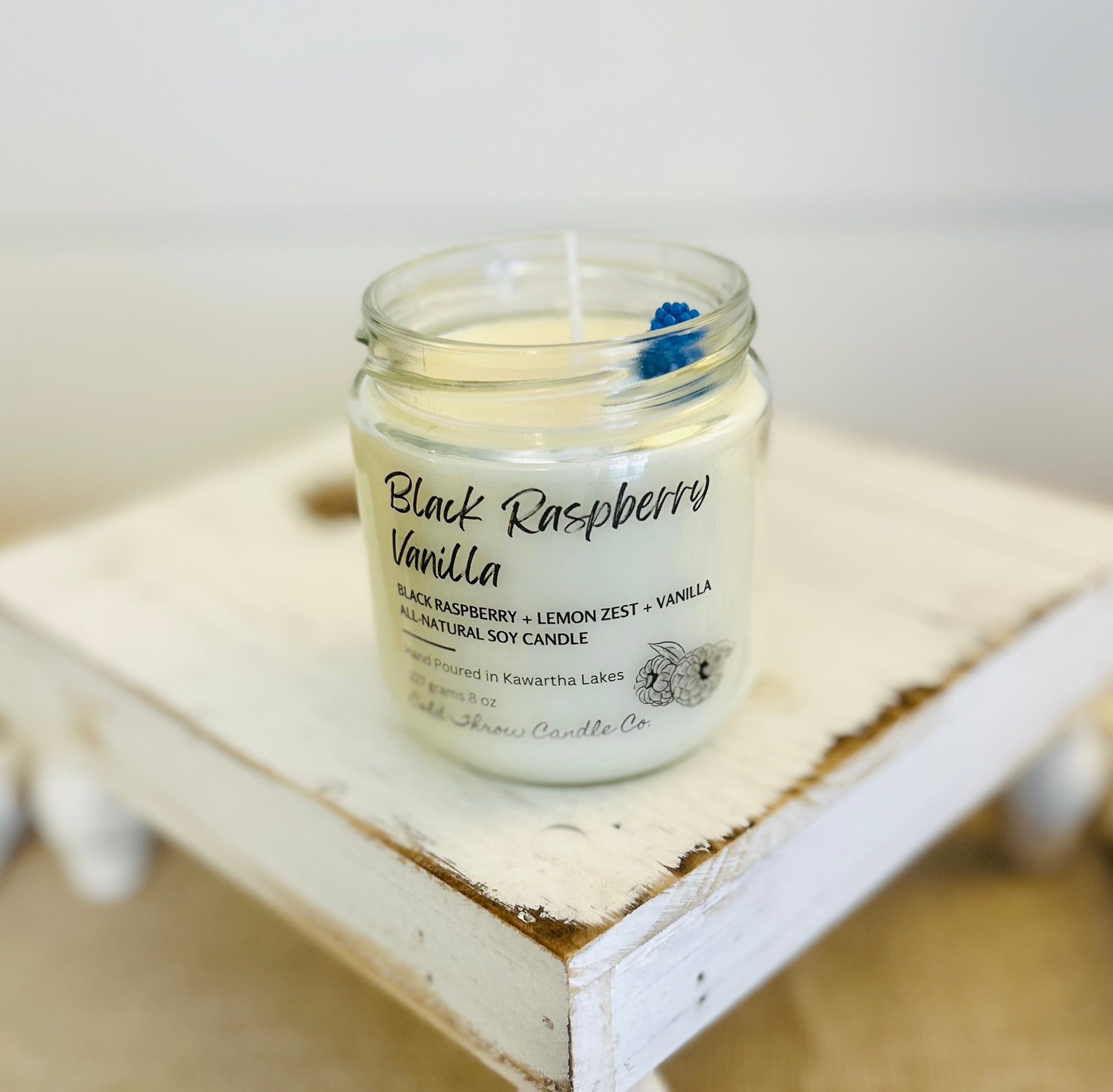 Black Raspberry Vanilla Cold Throw Candle Co.