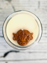 Load image into Gallery viewer, Country Fair