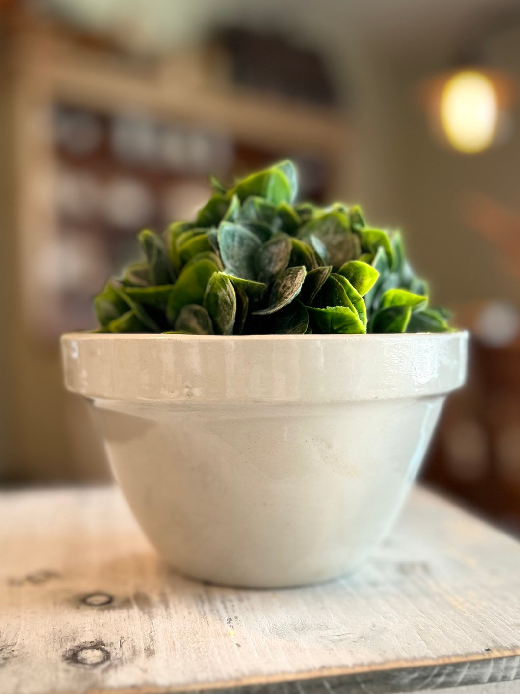 Pudding Bowl - 