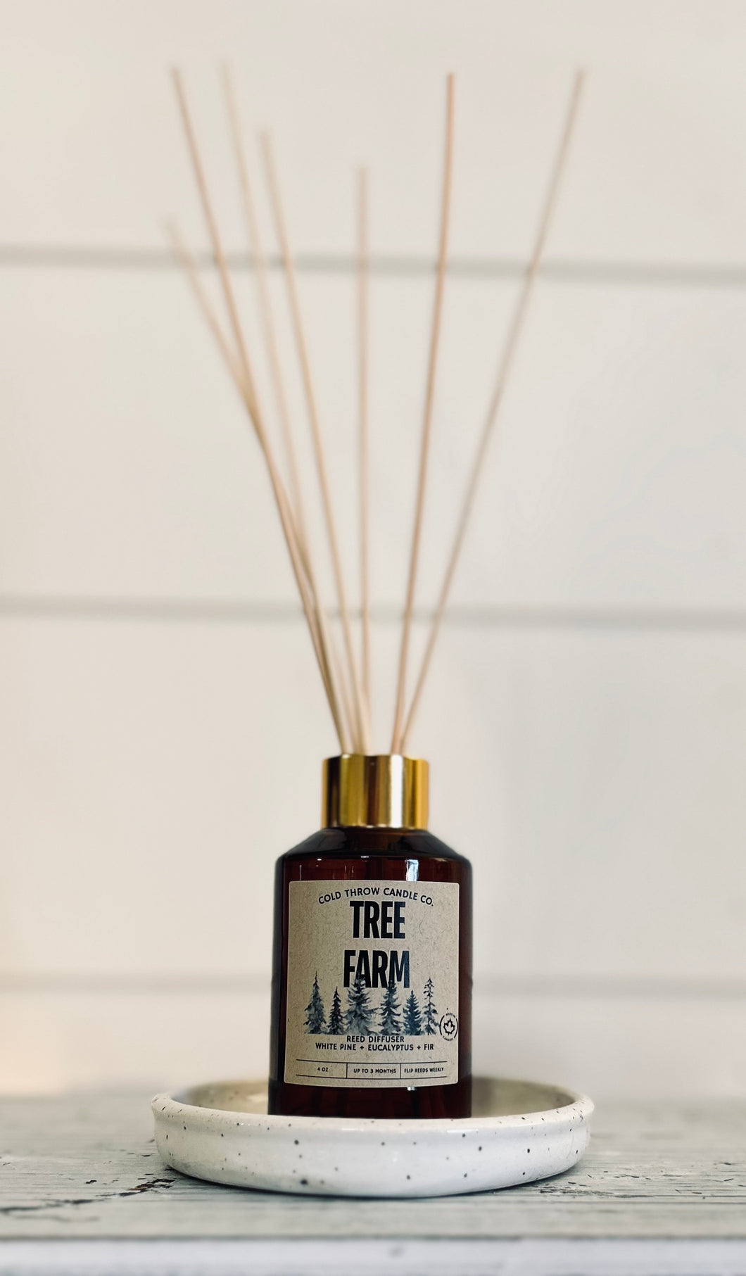 Reed Diffuser Pottery Coaster